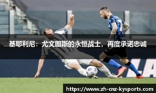 开云kaiyun网页版