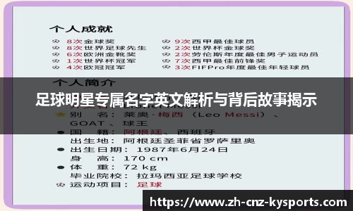 开云kaiyun网页版