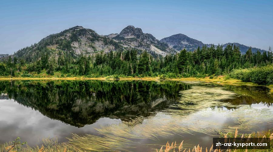 知道开云kaiyun首页